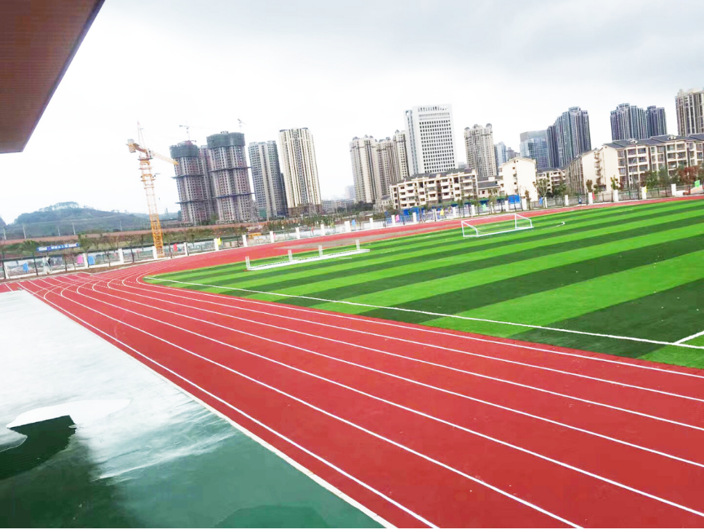 重庆兴龙湖中心十一人制标准足球场