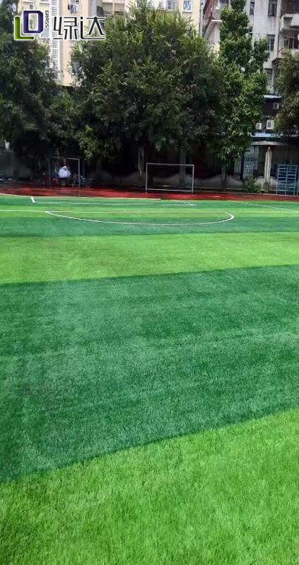 贵州毕节金沙外滩国际小学人造草坪足球场